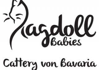RagdollBabies-Logobanner