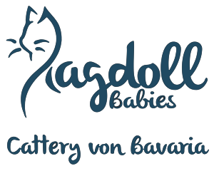 RagdollBabies Logobanner